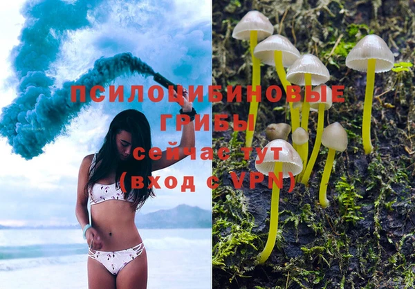 jwh Бородино