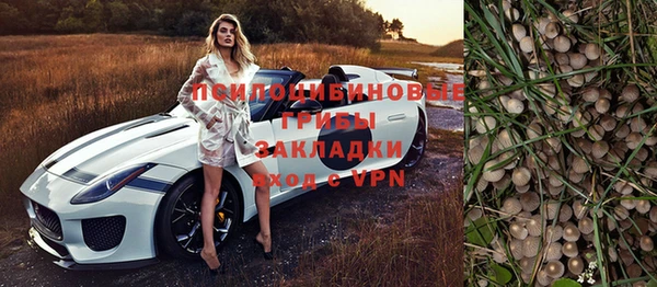 спайс Вяземский