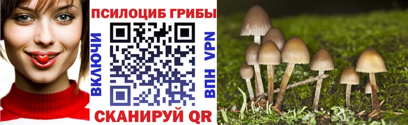 сколько стоит  Зеленокумск  гидра как зайти  Псилоцибиновые грибы MAGIC MUSHROOMS 